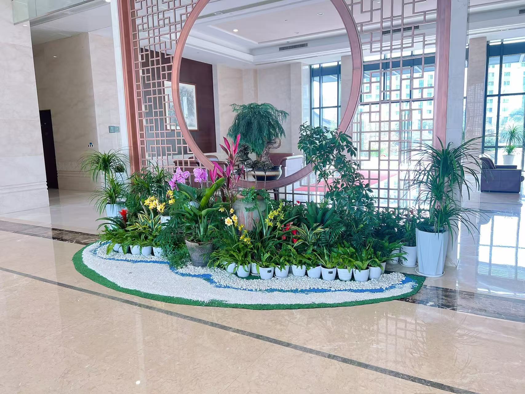 “鄞州花卉出租验